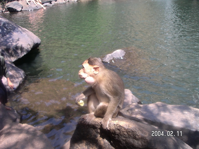 Indien 071.jpg